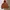 Uniqlo Streetwear Casual Windbreaker Pria multicolor photo 1