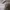 ZARA Streetwear Luxury Sweatshirt Pria multicolor photo 4