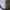 ZARA Streetwear Luxury Sweatshirt Pria multicolor photo 3