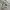 Carhartt Streetwear Y2K Formal pants Pria cream photo 3