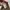 Carhartt Streetwear Y2K Formal pants Pria cream photo 6