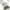Michael Kors Minimalist Casual Handbag Wanita green photo 5