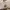 Chevignon Vintage Streetwear Denim jacket Pria khaki photo 4