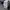 Nike Streetwear Hoody Pria gray photo 6