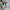 Puma Streetwear Sneakers Wanita white green photo 4