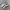 Adidas Casual Sneakers Pria white photo 1
