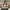 Burberry Y2K Luxury Tote bag Wanita tan brown photo 2