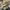 Burberry Y2K Luxury Tote bag Wanita tan brown photo 3