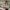 Burberry Y2K Luxury Tote bag Wanita tan brown photo 4