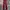 Adidas Sportswear Sweatpants & Joggers Pria red photo 2