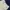 Sportswear Casual Puffer jacket Pria white photo 2