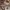 Michael Kors Casual Tote bag Wanita white cream photo 5
