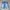 Vintage Streetwear Jeans Pria blue photo 2