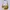 Michael Kors Vintage Shoulder bag Wanita gold brown photo 1