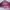 Coquette Crossbody Bag Wanita pink photo 4