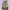 Coach Y2K Shoulder bag Wanita brown photo 4