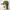Outdoor Research Biker Sportswear Hat Pria tan photo 6