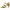 ECCO Luxury Minimalist Heels Wanita Yellow