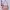 Casual Hobo bag Wanita pink photo 1