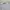 Old Navy Lolita Babydoll dress Wanita white photo 2