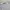 Old Navy Lolita Babydoll Dress Wanita White