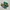 Puma Casual Sneakers Pria green yellow photo 1