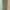 Polo Ralph Lauren Casual Casual pants Pria green photo 6