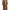 Pakaian adat Muslim Baju muslim Kids tan brown photo 7