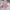 Miniso Fairy Coquette Hair accessory Wanita pink photo 3