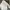 Fila Minimalist Hoody Pria white cream photo 1