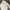 Fila Minimalist Hoody Pria White Cream