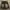 Y2K Skater Short Pria tan gray photo 4