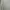 Guess Casual Sweatshirt Wanita green photo 2