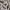 WHO.A.U Streetwear Casual Suit Pria white photo 2