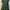 Minimalist Muslim Maxi Dress Wanita Green Khaki