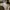 Carhartt Vintage Casual shirt Pria tan photo 2