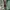 Uniqlo Vintage Minimalist Casual pants Pria green photo 4