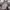 Casual Evening dress Wanita multicolor photo 2