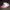 MLB Vintage Y2K Hat Pria White Pink