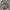 LMC Vintage Streetwear Sweatshirt Pria gray photo 2