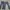 Another Shop Streetwear Casual Jeans Pria navy photo 1