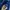 The North Face Luxury Track jacket Pria green black photo 4