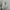 Adidas Casual Sneakers Pria white photo 4