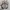 Adidas Casual Sneakers Pria white photo 4