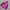 Japanese brand Gorpcore Sportswear Windbreaker Wanita pink black photo 1