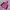 Japanese Brand Gorpcore Sportswear Windbreaker Wanita Pink Black