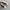 COMME des GARÇONS Biker Casual Sneakers Pria cream photo 3