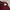 Coquette Casual Sweatshirt Wanita burgundy photo 3