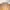 Vaude Gorpcore Sportswear Track jacket Pria gold orange photo 2