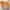Vaude Gorpcore Sportswear Track jacket Pria gold orange photo 1